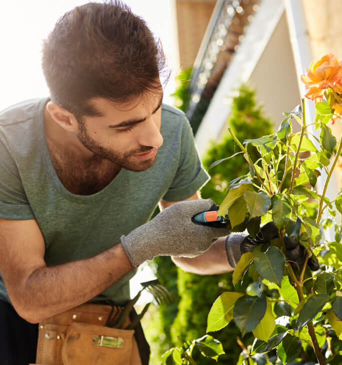 Employment & Industrial Relations